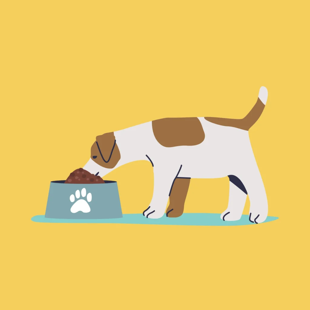 Prueba gradualmente el pienso en tu mascota